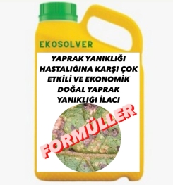 YAPRAK YANIKLIĞI HASTALIĞINA KARŞI ÇOK ETKİLİ VE EKONOMİK DOĞAL YAPRAK YANIKLIĞI İLACI İMALAT FORMÜLÜ VE ÜRETİM YÖNTEMİ VE UYGULAMA DOZAJLARI