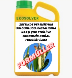 ZEYTİNDE KÜLLEME HASTALIĞINA KARŞI ÇOK ETKİLİ VE EKONOMİK DOĞAL FUNGİSİT İLACI İMALAT FORMÜLÜ VE ÜRETİM YÖNTEMİ VE UYGULAMA DOZAJLARI