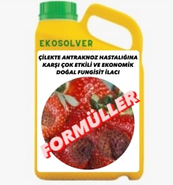 ÇİLEKTE ANTRAKNOZ HASTALIĞINA KARŞI ÇOK ETKİLİ VE EKONOMİK DOĞAL FUNGİSİT İLACI İMALAT FORMÜLÜ VE ÜRETİM YÖNTEMİ VE UYGULAMA DOZAJLARI