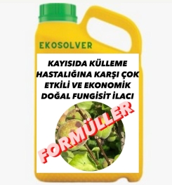 KAYISIDA KÜLLEME HASTALIĞINA KARŞI ÇOK ETKİLİ VE EKONOMİK DOĞAL FUNGİSİT İLACI İMALAT FORMÜLÜ VE ÜRETİM YÖNTEMİ VE UYGULAMA DOZAJLARI