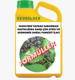 FASULYEDE YAPRAK SARARMASI HASTALIĞINA KARŞI ÇOK ETKİLİ VE EKONOMİK DOĞAL FUNGİSİT İLACI İMALAT FORMÜLÜ VE ÜRETİM YÖNTEMİ VE UYGULAMA DOZAJLARI