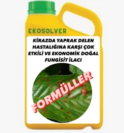 KİRAZDA YAPRAK DELEN HASTALIĞINA KARŞI ÇOK ETKİLİ VE EKONOMİK DOĞAL FUNGİSİT İLACI İMALAT FORMÜLÜ VE ÜRETİM YÖNTEMİ VE UYGULAMA DOZAJLARI