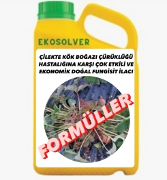 ÇİLEKTE KÖK BOĞAZI ÇÜRÜKLÜĞÜ HASTALIĞINA KARŞI ÇOK ETKİLİ VE EKONOMİK DOĞAL FUNGİSİT İLACI İMALAT FORMÜLÜ VE ÜRETİM YÖNTEMİ VE UYGULAMA DOZAJLARI