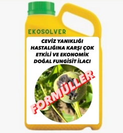 CEVİZ YANIKLIĞI HASTALIĞINA KARŞI ÇOK ETKİLİ VE EKONOMİK DOĞAL FUNGİSİT İLACI İMALAT FORMÜLÜ VE ÜRETİM YÖNTEMİ VE UYGULAMA DOZAJLARI