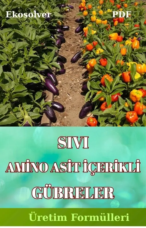AMİNO ASİT İÇERİKLİ SIVI GÜBRELER VE ÜRETİM FORMÜLLERİ